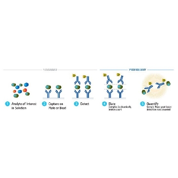 SMC®人IL-17F高灵敏度试剂盒，1KIT，03-0164-00，密理博