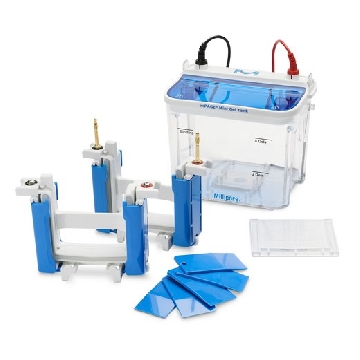 mPAGE® Mini Gel Tank，1EACH，MGT-2，密理博