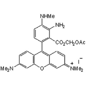 DAR-4M AM，1MG，251765-1MGCN，Sigma