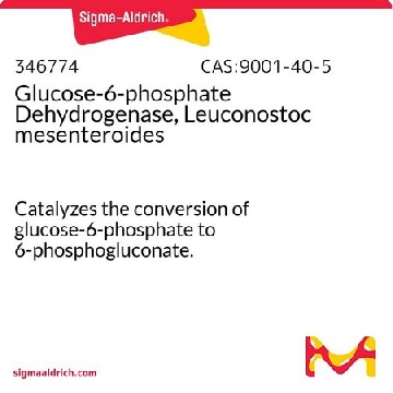 Glucose-6-phosphate Dehydrogenase, Leuconostoc mesenteroides，500U，346774-500UCN，Sigma