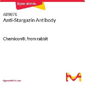 抗Stargazin抗体，100UG，AB9876，Sigma