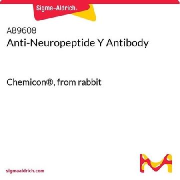 Anti-Neuropeptide Y Antibody，100UG，AB9608，Sigma