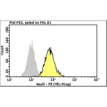 Milli-Mark® 抗-NeuN-PE抗体，克隆A60，100TESTS，FCMAB317PE，Sigma