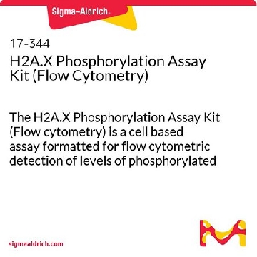 H2A.X磷酸化检测试剂盒（流式细胞术），1KIT，17-344，Sigma