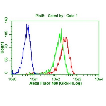 Anti-OCT-4 [POU5F1] Antibody, clone 7F9.2，100UG，MAB4419，Sigma