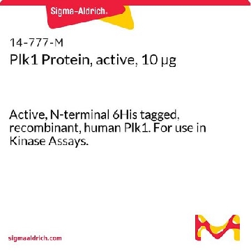 Plk1 Protein, active, 10 µg，10UG，14-777，Sigma