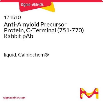 抗淀粉样蛋白前体蛋白，C-末端（751-770）兔pAb，50UL，171610-50ULCN，Sigma