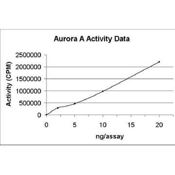Aurora A Protein, active, 10 µg，250UG，14-511M，Sigma