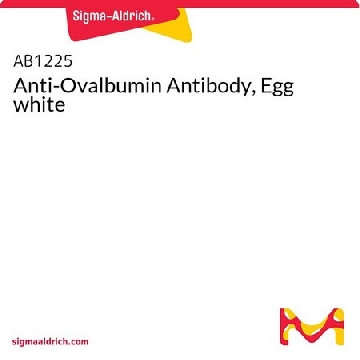 Anti-Ovalbumin Antibody, Egg white，100UL，AB1225-100UL，Sigma