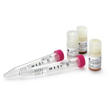 PureProteome白蛋白磁珠，10ML，LSKMAGL10，密理博