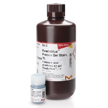 READYBLUE® 蛋白凝胶染色剂，1L，RSB-1L，Sigma