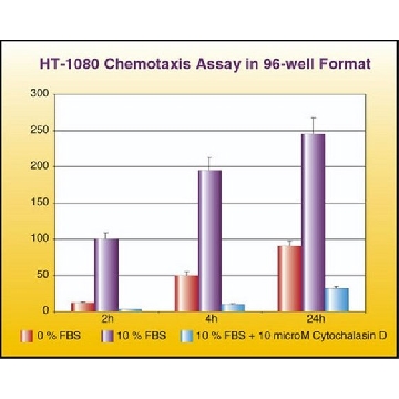 QCM Chemotaxis Cell Migration Assay, 96-well (8 µm), fluorimetric，1PLATE，ECM510，Sigma