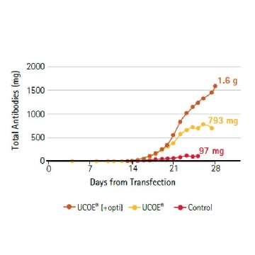 UCOE® Expression Vector - Mouse 3.2 kb Hygro Set - Novagen®，1SET，50486600011753，Sigma