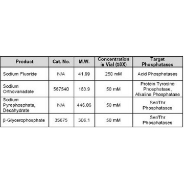 Phosphatase Inhibitor Cocktail Set V, 50X, Lyophilized，1ML，524632-1MLCN，密理博