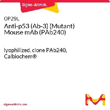 p53（Ab-3）（突变型）小鼠单克隆抗体（PAb240），100UG，OP29L-100UGCN，Sigma