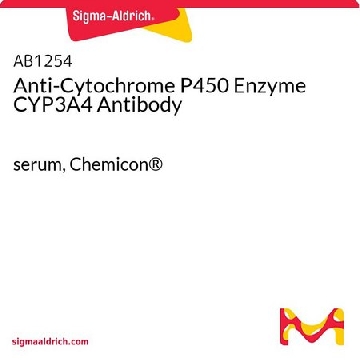 抗细胞色素P450酶CYP3A4抗体，100UL，AB1254，Sigma