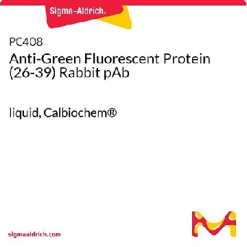 Anti-Green Fluorescent Protein (26-39) Rabbit pAb，100UL，PC408-100ULCN，Sigma