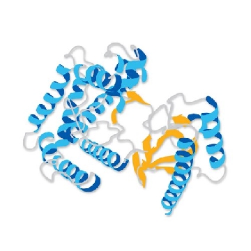 Protein Phosphatase, Lambda, Recombinant, E. coli，20KU，539514-20KUCN，Sigma