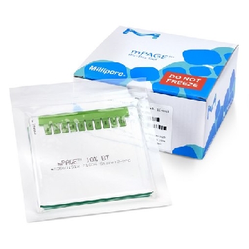 mPAGE® 4-12% Bis-Tris预制凝胶，1EACH，MP41G12，密理博