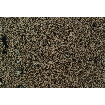 Anti-Integrin α2 Antibody, clone P1E6，100UG，MAB1950，Sigma
