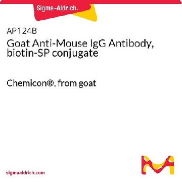 Goat Anti-Mouse IgG Antibody, biotin-SP conjugate，2ML，AP124B，Sigma