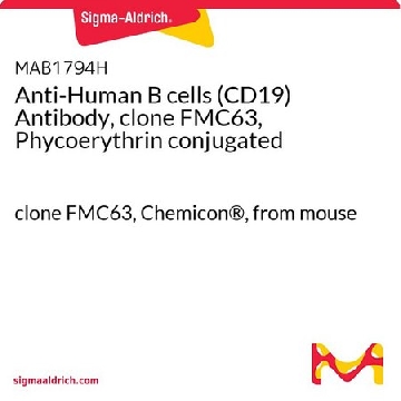 抗人B细胞（CD19）抗体（克隆FMC63，藻红蛋白偶联），100ASSAYS，MAB1794H，Sigma