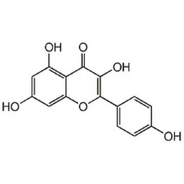 Kaempferol，25MG，420345-25MGCN，Sigma