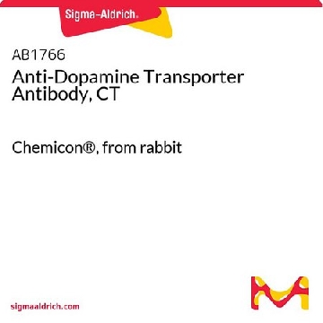 Anti-Dopamine Transporter Antibody, CT，100UL，AB1766，Sigma