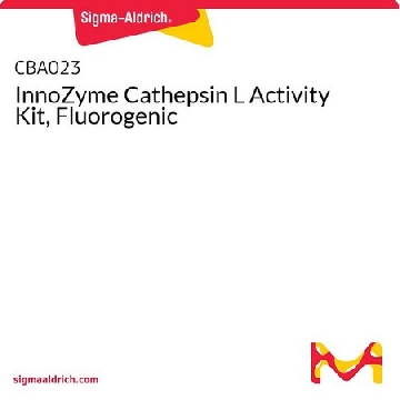 InnoZyme组织蛋白酶L活性试剂盒，荧光，1KIT，CBA023-1KITCN，Sigma