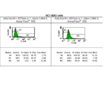 抗-Na+/K+ ATPase α-1抗体，克隆C464.6，Alexa Fluor™ 555，25UG，05-369X-555，Sigma