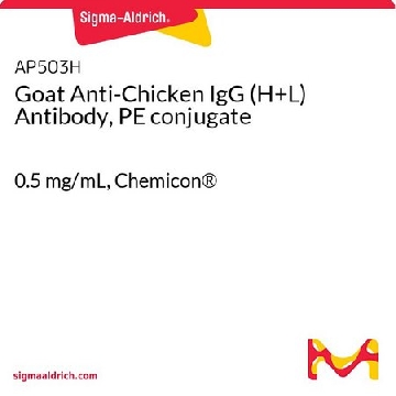 Goat Anti-Chicken IgG (H+L) Antibody, PE conjugate，0.5MG，AP503H，Sigma