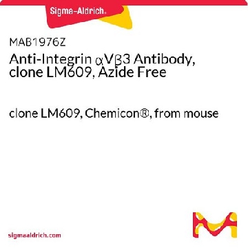 抗整合素αVβ 3抗体，克隆LM609，无叠氮化物，100UG，MAB1976Z，Sigma