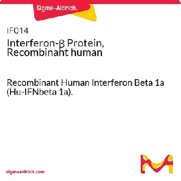 干扰素β蛋白，重组人类，100000UNITS，IF014，Sigma