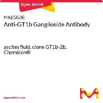 抗-GT1b神经节苷脂抗体，100UL，MAB5608，Sigma