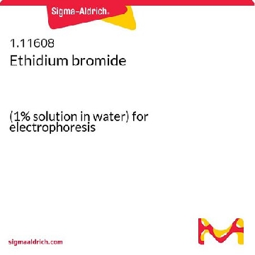 Ethidium bromide，30ML，1116080030，Sigma