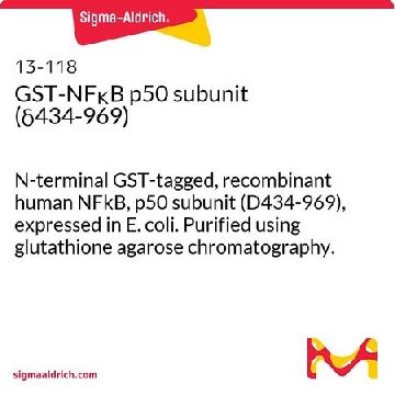 GST-NFκB p50 subunit (δ434-969)，50UG，13-118，Sigma