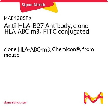 抗-HLA-B27,Cln HLA-ABC-m3 FITC（小鼠单克隆），100ASSAYS，MAB1285FX，Sigma