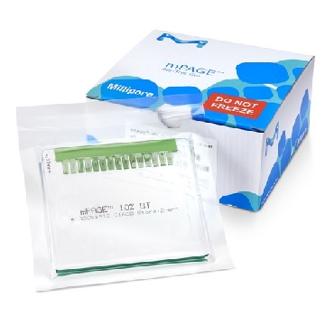 mPAGE® 4-12% Bis-Tris预制凝胶，10EACH，MP41G15，密理博