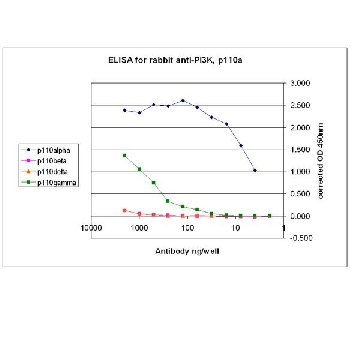 Anti-PI3 Kinase Antibody, p110α，100UG，09-481，Sigma