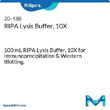RIPA裂解缓冲液，10X，100ML，20-188，密理博