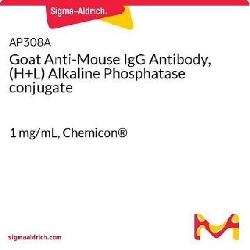 山羊抗小鼠IgG抗体，（H + L）碱性磷酸酶偶联，1ML，AP308A，Sigma