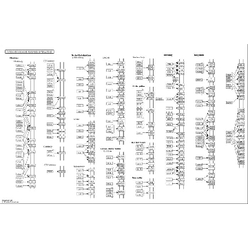 PI3激酶（p110α(E545K)/p85α），10 µg，10UG，14-783，Sigma