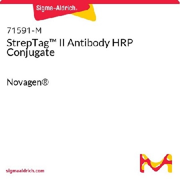 StrepTag ™ II 抗体 HRP 结合物，75UL，71591-3CN，Sigma