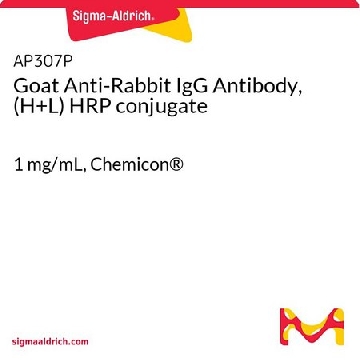 山羊抗兔IgG抗体，（H + L）HRP偶联，1ML，AP307P，Sigma