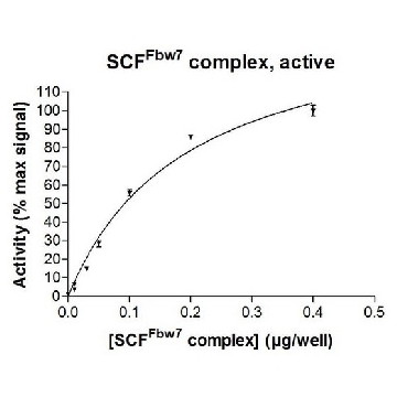 SCF-Fbw7 Protein Complex, Active, 10 µg，10UG，23-030，Sigma