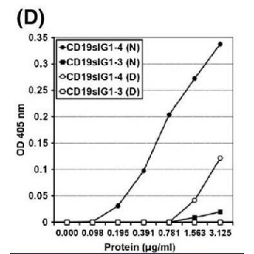 抗人B细胞（CD19）抗体，克隆FMC63，100UG，MAB1794，Sigma