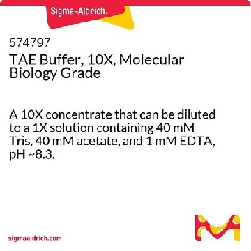 TAE 缓冲液，10X，分子生物学级，1L，574797-1LCN，Sigma