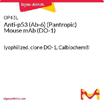 Anti-p53 (Ab-6) (Pantropic) Mouse mAb (DO-1)，100UG，OP43L-100UGCN，Sigma