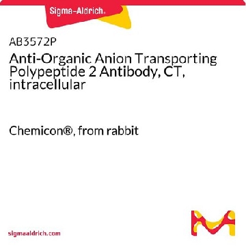 Anti-Organic Anion Transporting Polypeptide 2 Antibody, CT, intracellular，50UG，AB3572P，Sigma