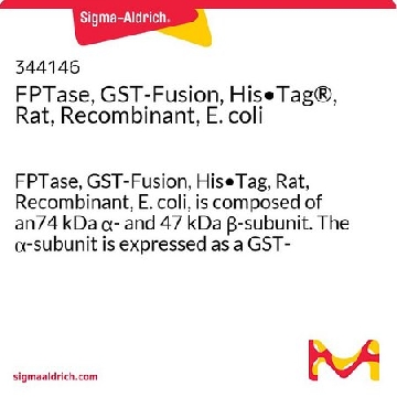 FPTase，GST融合，组氨酸•标签®，大鼠，重组，大肠杆菌，100UG，344146-100UGCN，Sigma
